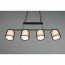 LED Hanglamp - Hangverlichting - Trion Bidon - E27 Fitting - 4-lichts - Rechthoek - Mat Zwart - Aluminium 9