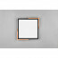LED Plafondlamp - Plafondverlichting - Trion Mirza - 20W - Warm Wit 3000K - Dimbaar - Vierkant - Mat Zwart - Kunststof 7