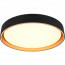 LED Plafondlamp - Trion Felix - 24W - Aanpasbare Kleur - Dimbaar - Afstandsbediening - Rond - Zwart Goud - Kunststof 6