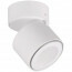 LED Plafondspot - Trion Tarus - 4W - Warm Wit 3000K - 1-lichts - Rond - Mat Wit - Aluminium 6