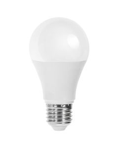 LED Lamp - E27 Fitting - 12W - Helder/Koud Wit 6500K