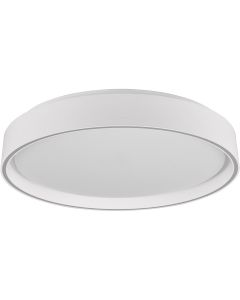 LED Plafondlamp - Plafondverlichting - Trion Lesi - 24W - Dimbaar - Aanpasbare Kleur - Afstandsbediening - Rond - Mat Wit - Kunststof 1