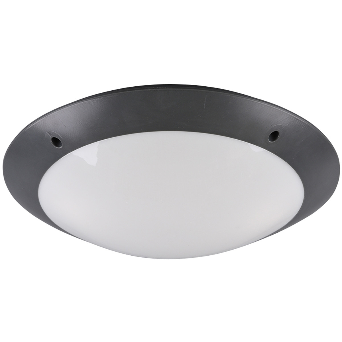 LED Plafondlamp - Badkamerlamp - Trion Camiro - Opbouw Rond - Waterdicht IP54 - E27 Fitting - 2-lichts - Mat Antraciet - Kunststof