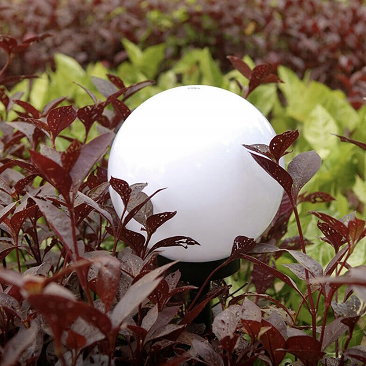 LED Solar Bollen Priklamp - Tuinverlichting op Zonne-energie - Set 6 Stuks - Maxozo Torky - Mat Zwart - Kunststof