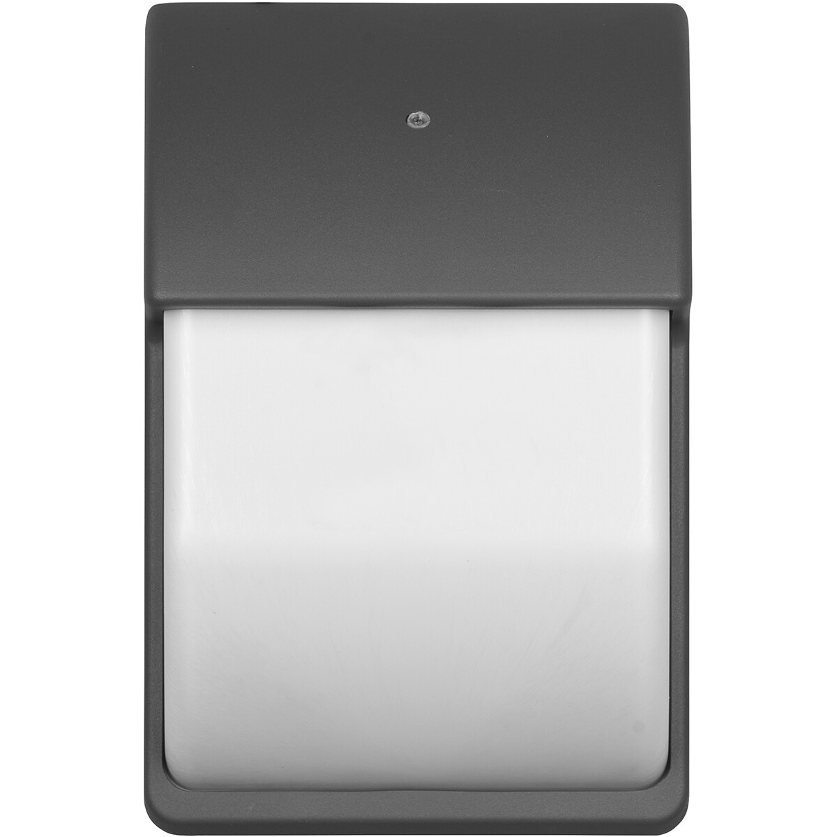 LED Tuinverlichting met Dag en Nacht Sensor - Buitenlamp - Trion Menaki - E14 Fitting - Spatwaterdicht IP44 - Ovaal - Mat Antraciet - Aluminium